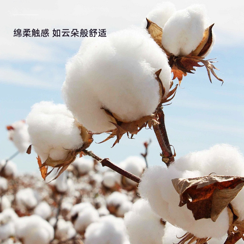 5.0/3.0/2.5mm Rubber Head Orga - Cotton Wick Organic 评论和价格