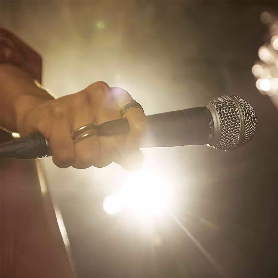 Karaoke Dynamic Microphone Pro - Shure Mic Sm58 评论和价格